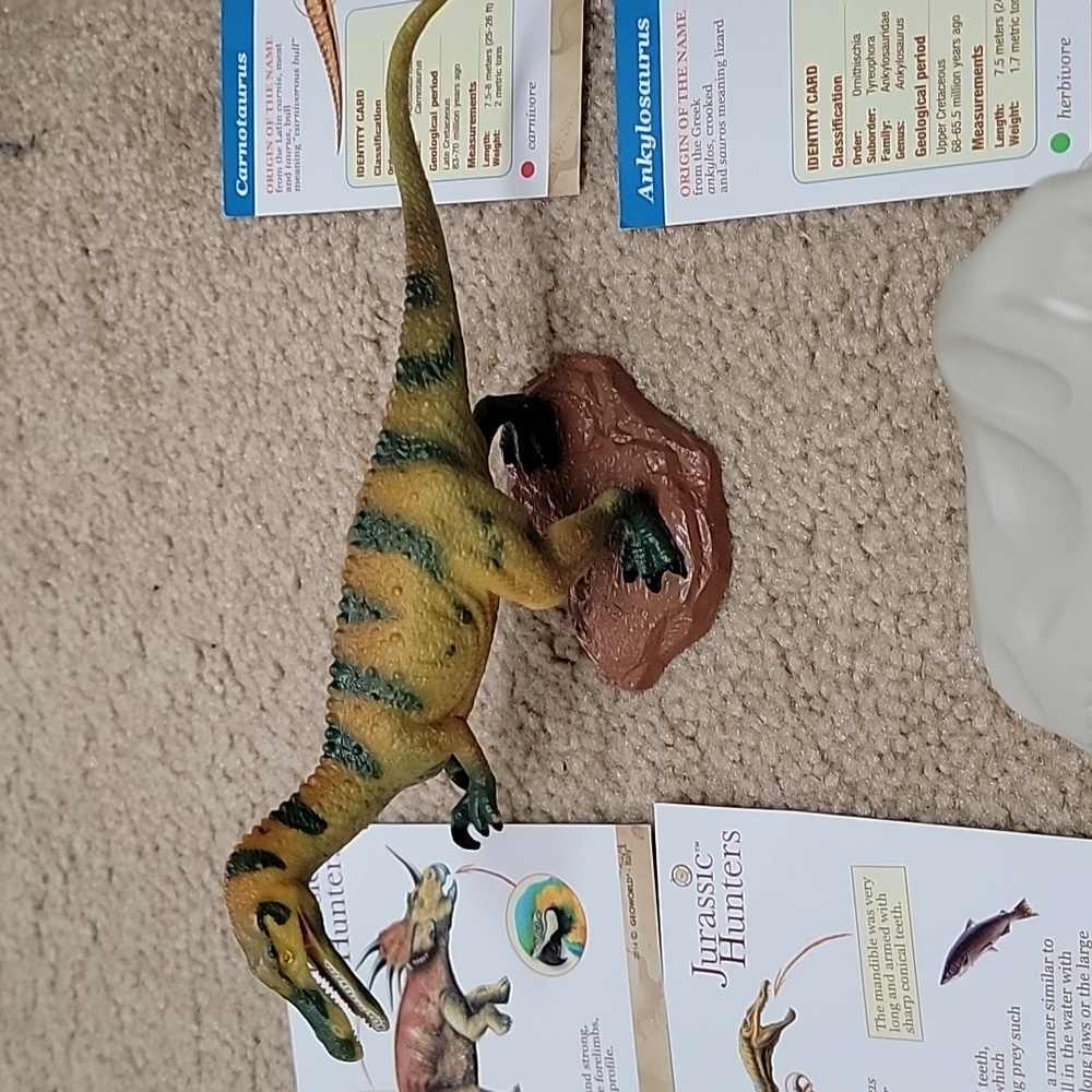Dinosaur Learning Set - Picture 4 of 5